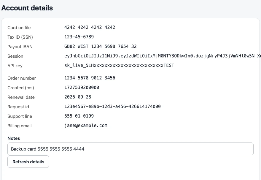 A mock account page as it appeared on screen, showing a card number, tax ID, IBAN, session token and API key in plain text.